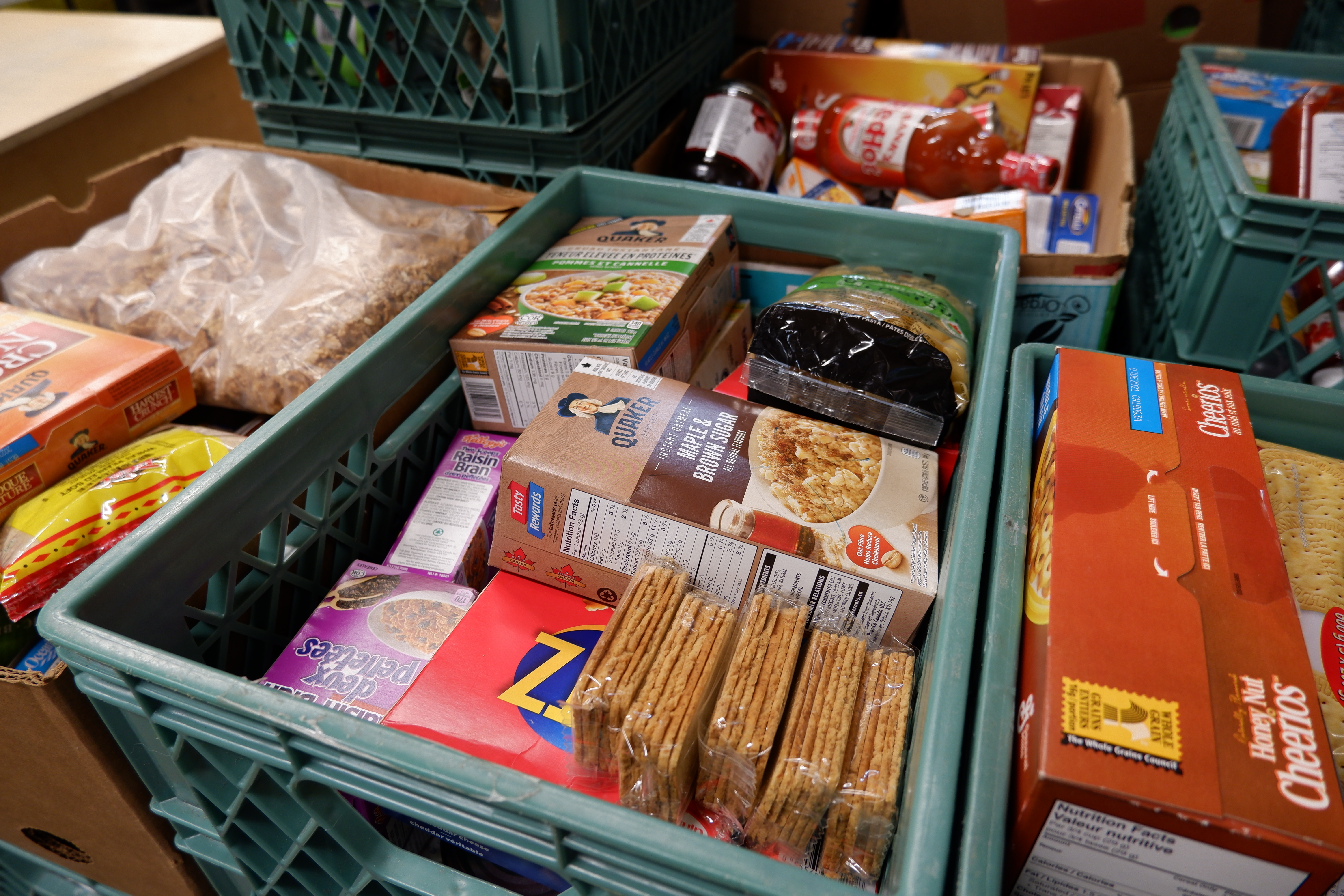 Some Tri-Cities families are losing the fight against high food costs. Here's what they're doing about it.